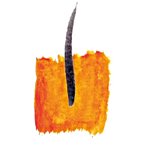 Logo von Lincura